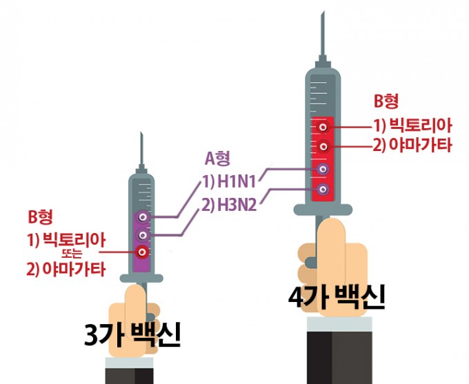 3가 백신과 4가 백신은 기본적으로 감염을 예방할 수 있는 바이러스의 수가 다르다. - (주)동아사이언스 제공